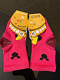 Дитячі шкарпетки, р.12, Демісезон, фото 2