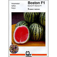 Бостон F1 арбуз, 5 семян для выращивания в открытом грунте