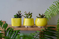 Керамический горшок для суккулентов Mini Plant маленького размера 6,2-6,5 см Яркий Желтый