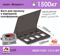 Весы для приямка с откидной платформой 4BDU1500-1212ВП-Б