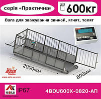 Ваги для свиней 4BDU600Х-0820-П Практичний