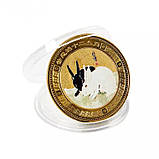Золота монета Кролик для удачі, Здоров'я, Благопопромінення з Пагодою Сутри Серця Дворац Процвітання Інь і Ян, фото 2