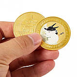 Золота монета Кролик для удачі, Здоров'я, Благопопромінення з Пагодою Сутри Серця Дворац Процвітання Інь і Ян, фото 4