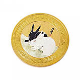 Золота монета Кролик для удачі, Здоров'я, Благопопромінення з Пагодою Сутри Серця Дворац Процвітання Інь і Ян, фото 5