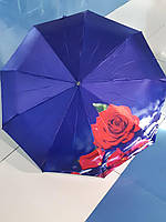 Парасолька-автомат FIABA з квітковим принтом на синьому тлі 10.2336.006.01-00