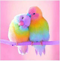 Алмазна мозаїка викладка стразами Папуги кольорові (повна викладка, круглі стрази) 20*20 см