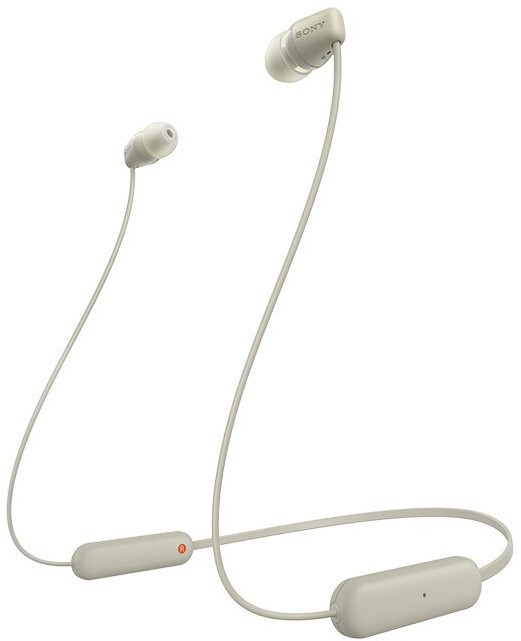 Sony WIC100 Grey
