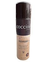 Спрей-фарба для замші та нубуку RAVVIVANT COCCINE 250ml 19