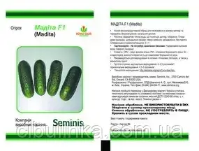 Огірок Мадіта F1 10 шт., фото 1