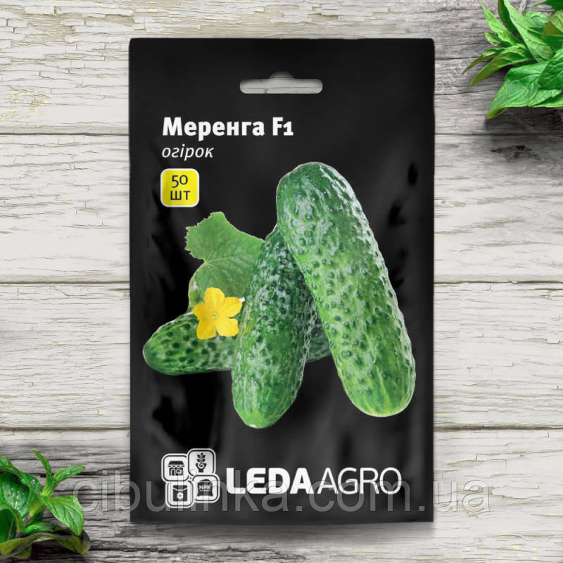 Насіння огірок Меренга F1, Leda Agro (50 шт.), фото 1