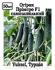 Насіння огірок Прімеро F1, Leda Agro (10 шт.), фото 2