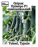 Семена огурец Примеро F1 Leda Agro (50 шт.)