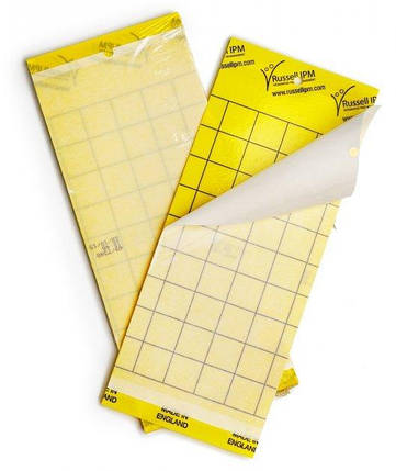 Моніторингова пастка для відлову комах в теплицях Russell IPM Yellow Glue Boards 10х25 см, 10 шт., фото 2