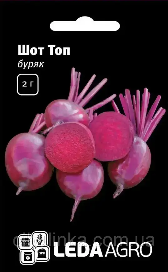 Буряк столовий Шот Топ Hazera/Leda Agro (2 г), фото 1