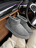 Уги жіночі UGG Ultra Mini Grey сірі міні короткі натуральний замш на хутрі стильні, фото 8