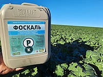 Фосфорно-калійне добриво ФОСКАЛЬ. Мікродобрива на Кукурудзу ФОСКАЛЬ. [ФОСКАЛЬ ЛАЙФ БІОХЕМ]. Норма 1,0л/га, фото 3