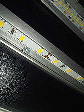 Світлодіодна стрічка LED 5630-60 NW натуральний білий