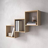 Настінна полиця для книг на 3 комірки M-13, фото 2