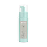 Artistry Skin Nutrition Увлажняющий мусс для умывания лица