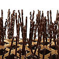 Термобрашинг Olivia Garden EXPERT BLOWOUT HEAT Nylgard Bristles 35, фото 3