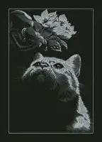 СЛ-2019 Ценитель, набор для вышивки бисером картины с котом