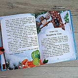 У пошуках Нового року. Чарівні істрії С972009У, фото 4