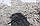 Килим бавовняний Mood Mosaic сірий, ручна робота, фото 6