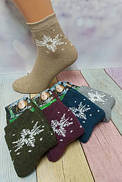 Шкарпетки жіночі Nadin 25026 Termo вис. махра різні кольори р.36-41 (уп.12 пар)