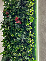 Фитостена 3 м кв. в гостиную из вьющихся зеленых растений