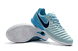 Футзалки Nike Tiempo Lunar Legend VII Pro IC white/green, фото 6