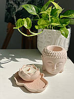 Комплект Будда с ароматической соевой свечой в кашпо в ручной работы Tropical Forest