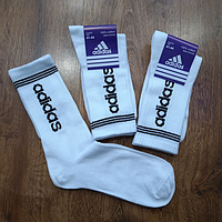 Высокие белые спортивные носки Adidas - носки спорт для парня