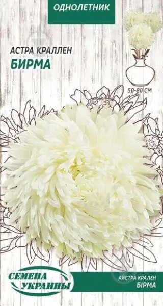 Насіння Квіти Айстра Крален Бірма /0,25 г/ придатен до 2023р.
