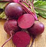 Насіння буряка столового Детройт 20 г середньостиглий, фото 2