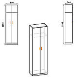 Шафа KOMPANIT-11 Венге, фото 2