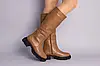 Жіночі демісезонні чоботи ShoesBand Руді натуральні шкіряні на середню/вузьку стопу всередині байка 39 (25 см) (S67701-1д), фото 7