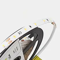 Ціна за 1 м! Світлодіодна стрічка LEDest-Leader 4,8w. 3000k (60шт/м IP33 24V 450lm SMD 2835 36м.гар), фото 4