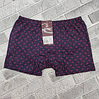 Боксери чоловічі натурально-бавовняні BONO (Арт: 550254) р 48 малюнок 30037041, фото 3