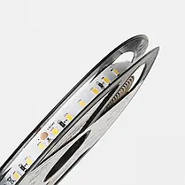 Ціна за 1 м! Світлодіодна стрічка LEDest-Leader 9,6w 4000k (120шт/м IP33 24V 1000 lm SMD 2835 36 міс. гарантії), фото 3