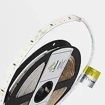 Ціна за 1 м! Світлодіодна стрічка LEDest-Premier 12w 4000k (128шт/м IP33 24V 1800lm SMD 2835 60 міс. гарантії), фото 5