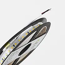 Ціна за 1 м! Світлодіодна стрічка LEDest-Premier 12w 4000k (128шт/м IP33 24V 1800lm SMD 2835 60 міс. гарантії), фото 4