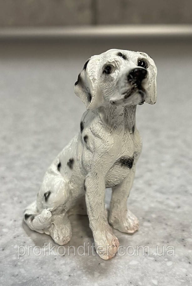 ЕКСКЛЮЗИВ! Силіконовий Молд для шоколаду "Далматинець", фото 1