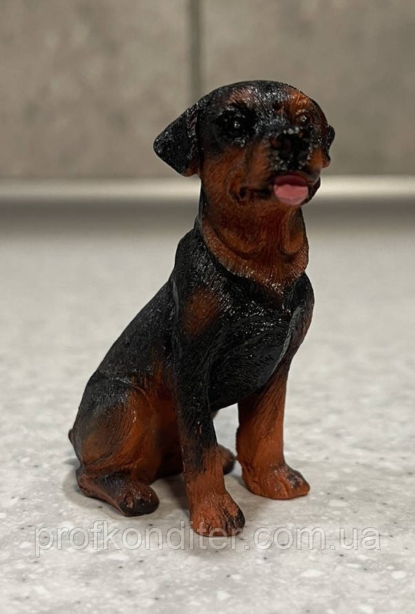 ЕКСКЛЮЗИВ! Силіконовий Молд для шоколаду "Ротвелер", фото 1