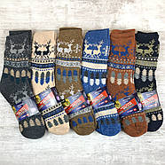 Хутряні чоловічі домашні шкарпетки з гальмами 39-42, фото 2