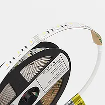 Світлодіодна стрічка LEDest Premier 18w RGBW 60шт/м. IP33 24V 3000 lm SMD 5050 60 міс. гарантії (Premier 18w RGBW), фото 2