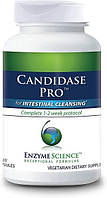 Enzyme Science Candidase Pro/ Кандида Про здоровий баланс кишкової флори 84 капсули BX035, фото 6