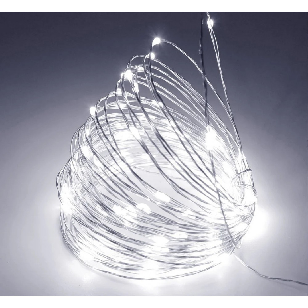 Гірлянда мідний дріт 100LED (RD-7108) 10м (контрол.220V) Провід-, Колір ламп-Білий (100)