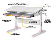 Дитяча зростаюча шкільна парта дівчинці для навчання вдома | Mealux Edmonton Lite PN, фото 3