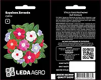 Семена Цветы Катарантус Барвинок Хетвейв смесь Leda Agro (10 шт.)