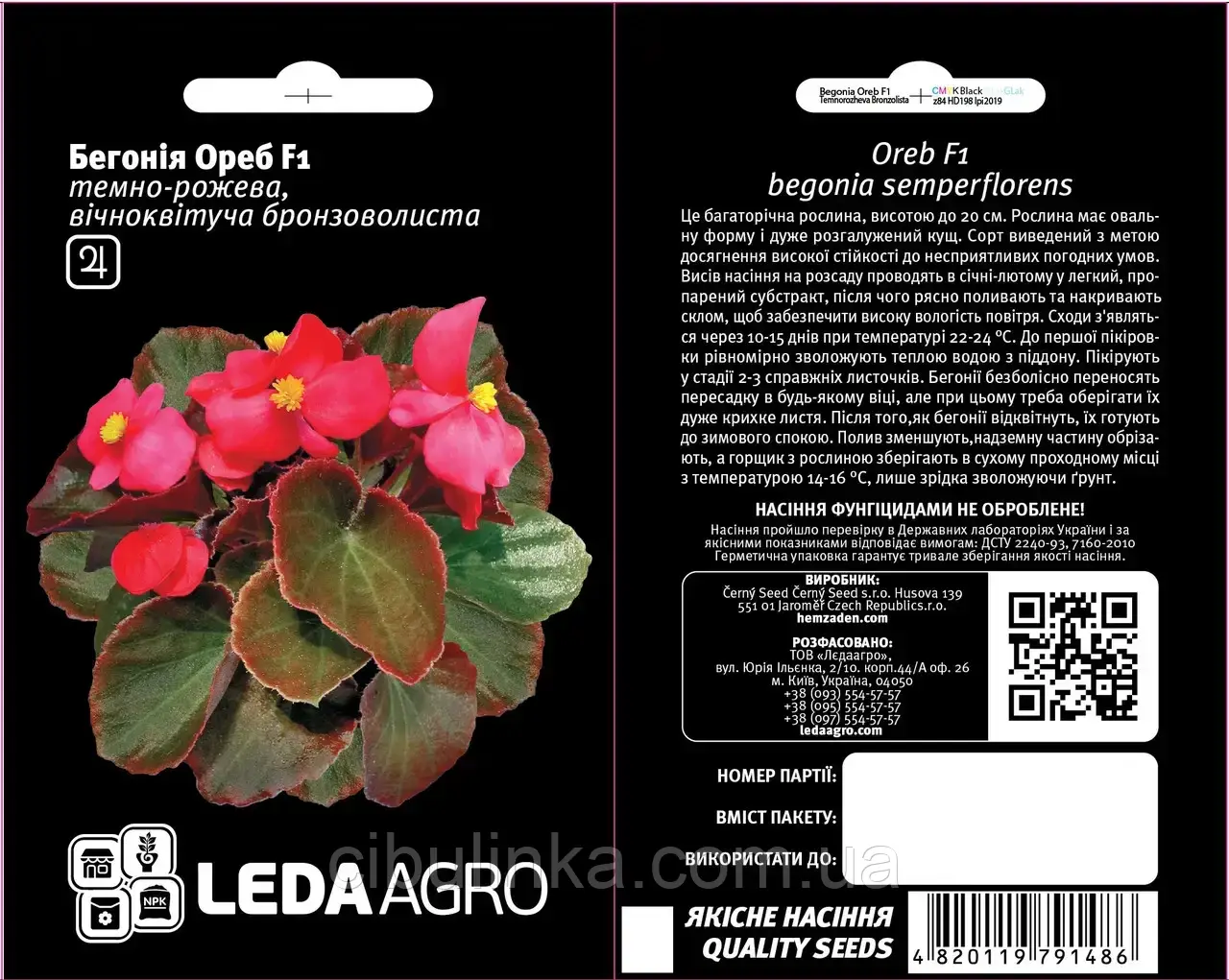 Бегонія Ореб F1 Leda Agro (Фасовка: 10 шт.), фото 1